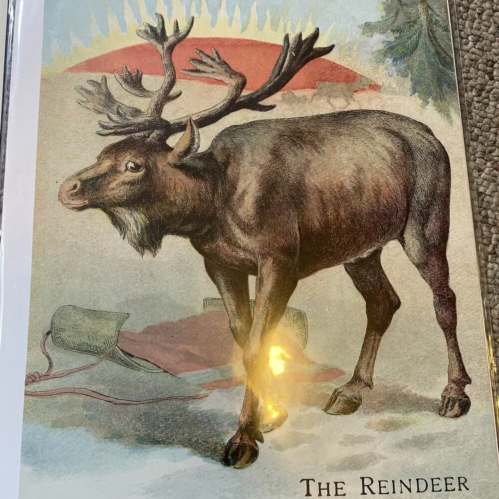 Lot of 2 Vintage Farm Animals Postcards Double Side Printed Cow Reindeer Horse